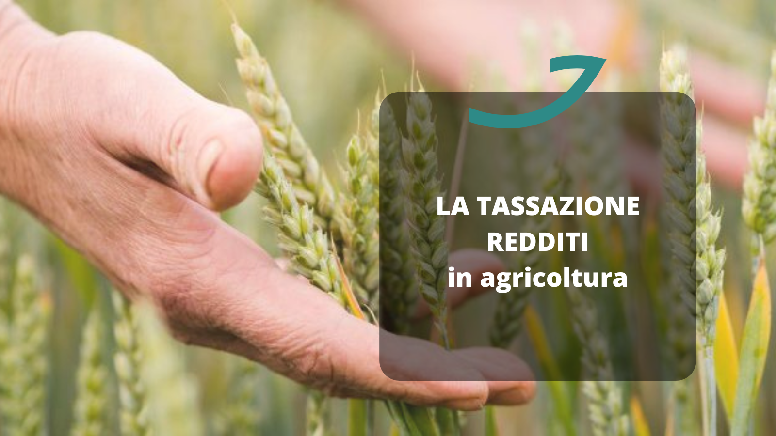 tassazione redditi in agricoltura